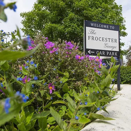 The Frocester-2